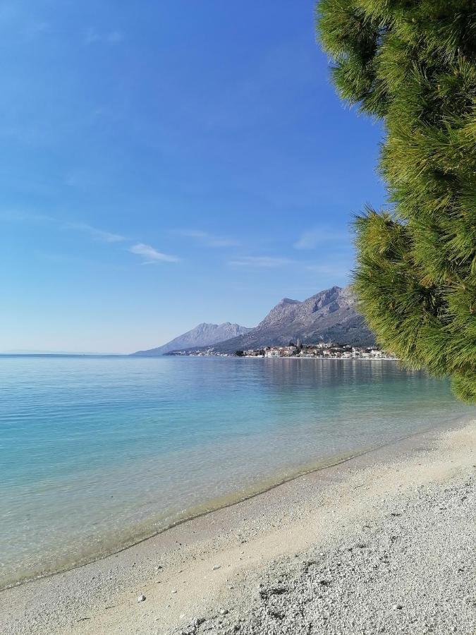 Studio Apartman Zana Daire Gradac  Dış mekan fotoğraf